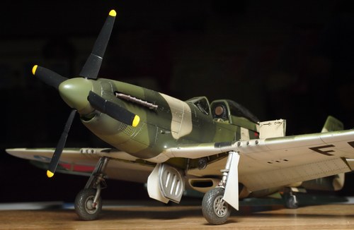 plane model