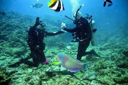 scuba diving