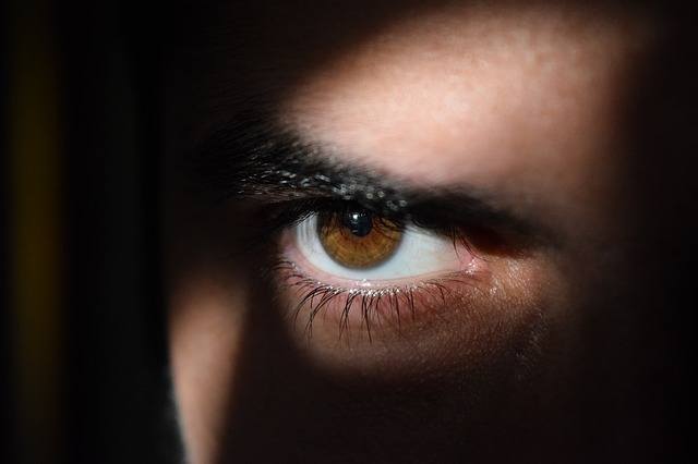 spying