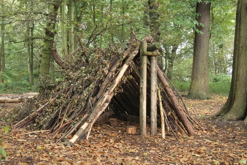 survival